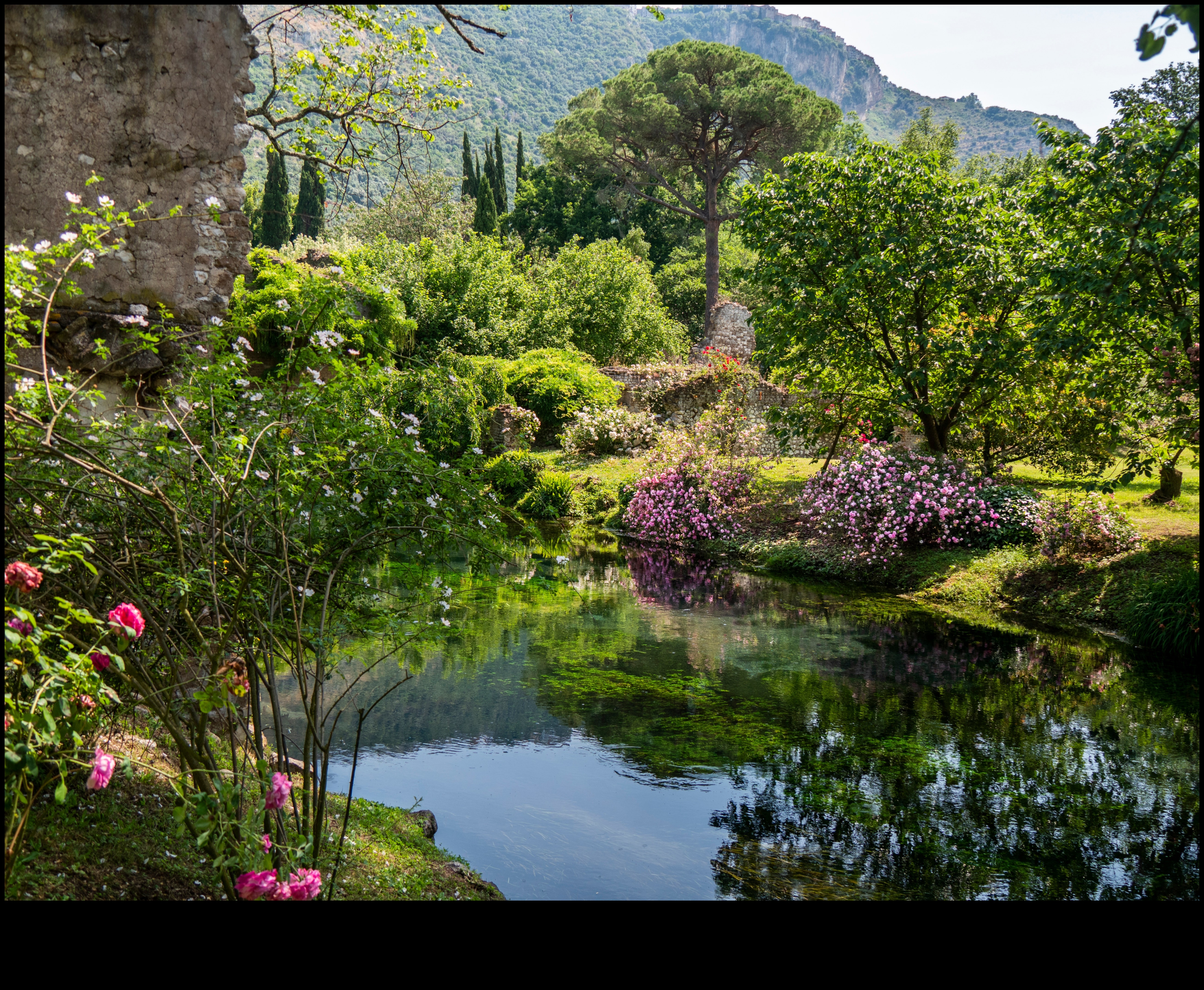 Floral Fusion: Sanatsal Bahçe Atölyesi İlhamları