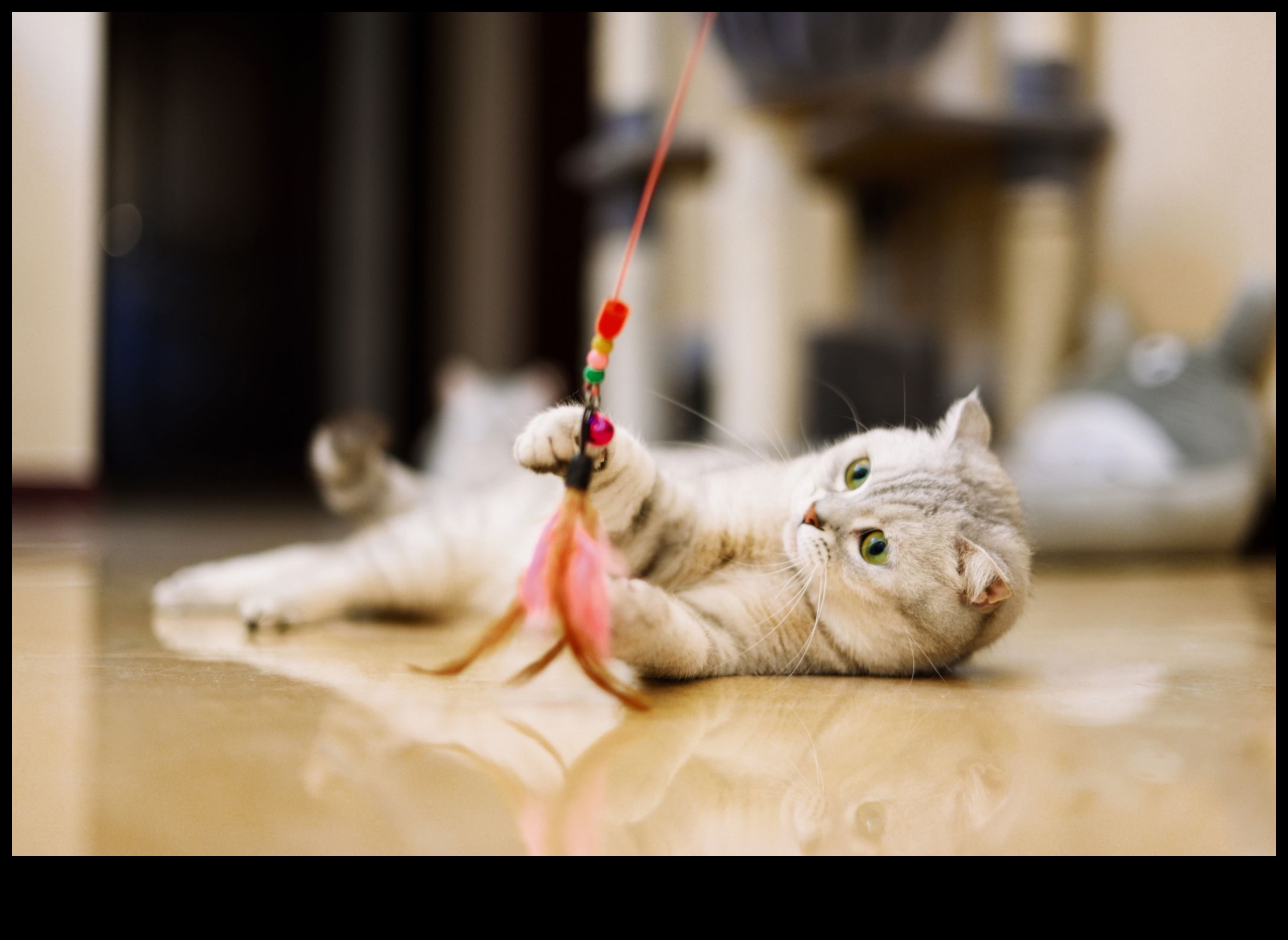 Kedi Nanesi El Sanatları Devam Ediyor: Kedilerin Eğlenmesi İçin Yaratıcı Kendin Yap Projeleri