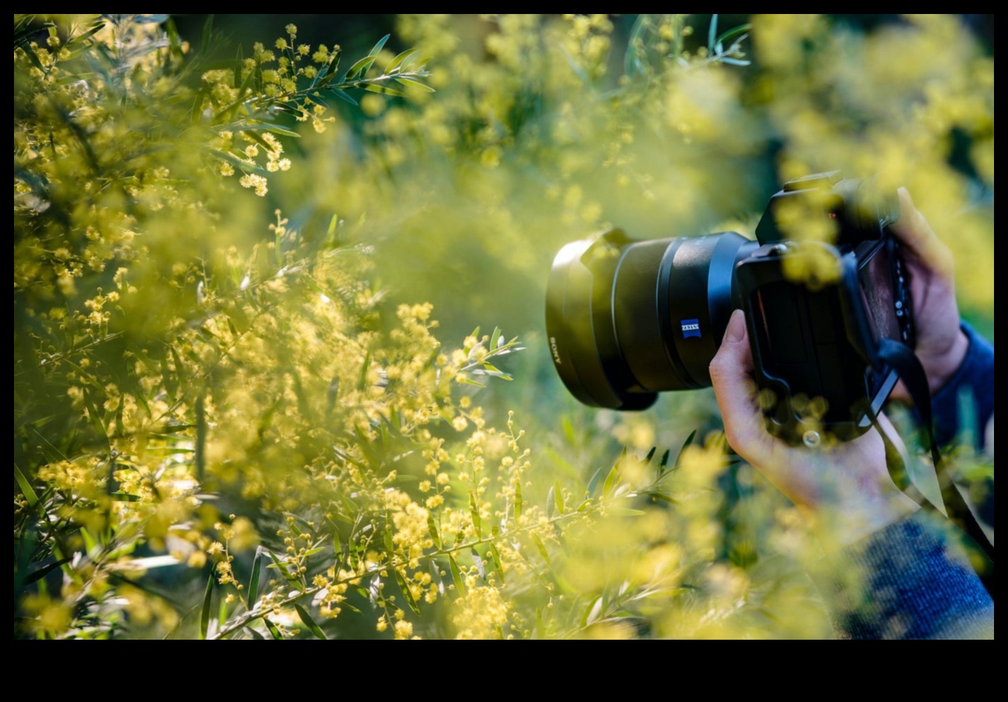 Lens Mirası: Kapsamlı Fotoğrafçılık Eğitimi ile Ustalığa Yolculuk